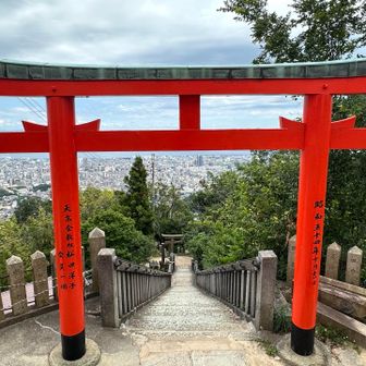 猫使いの 進さん