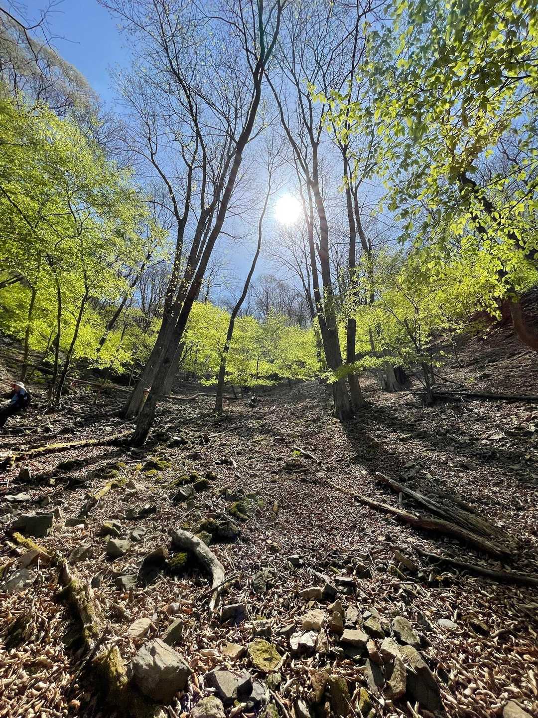 下りの🍃は名残惜しい感満載。