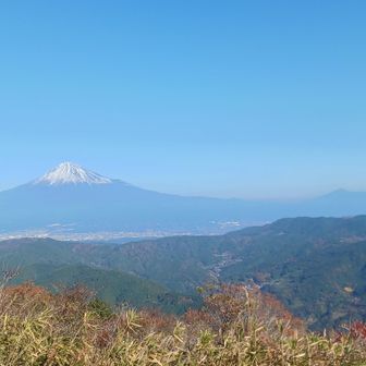 山の神様ありがとう😭