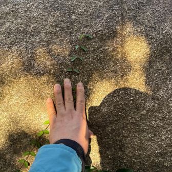 三角点無いから岩にタッチ。