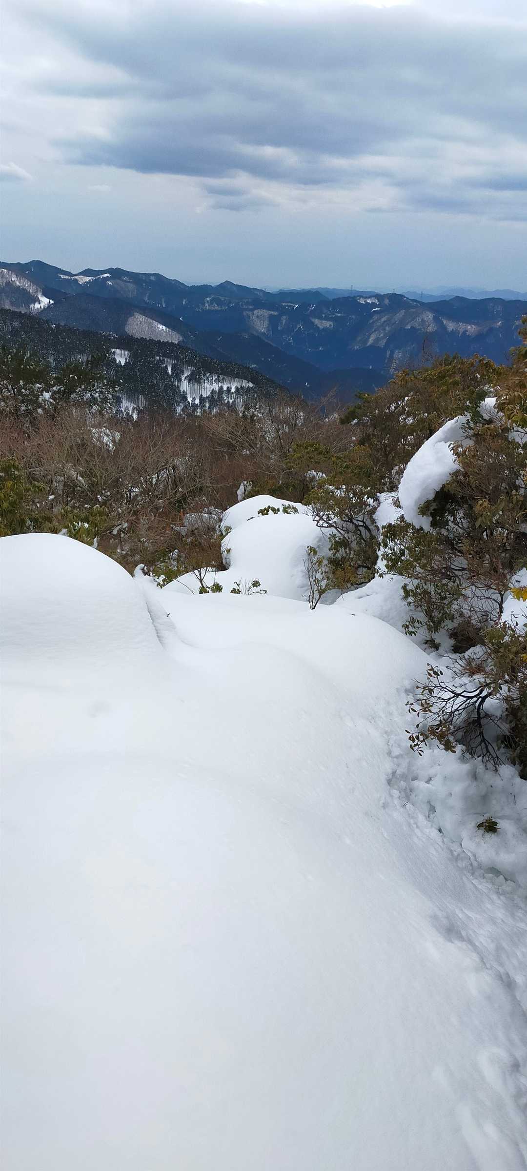 ここからの下りが雪に埋もれて？？🤔　ｱｾﾋﾞの横を歩くと踏抜きそうで…😱💦
