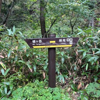 ふと「槍見河原」の標識。槍見？えっ？