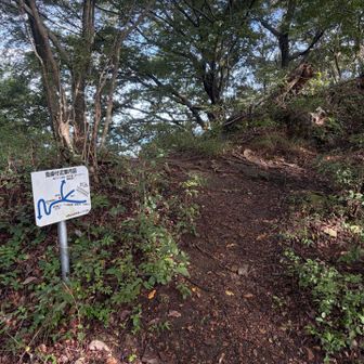 兎峰もパス