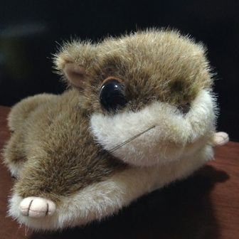 お散歩探険倶楽部