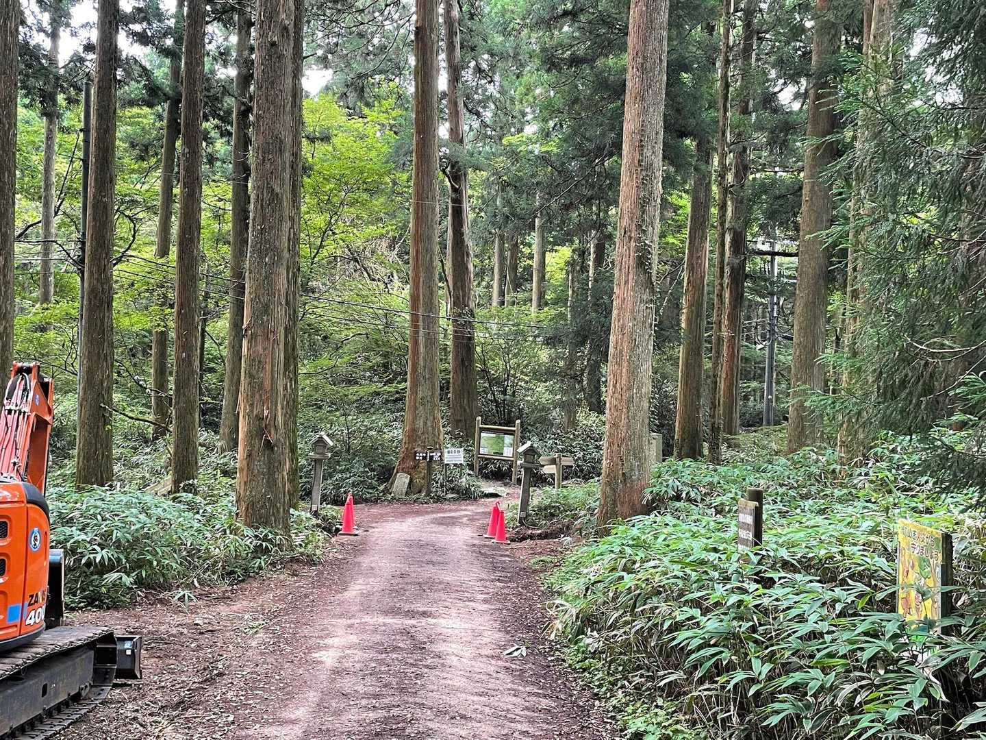 降りはダイトレ
あれ？⛩️がない💦