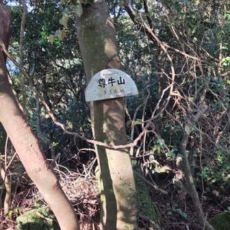 尊牛山(318m)