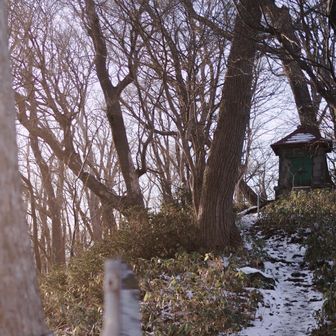 フレームの外側のすぐ左に太陽があった影響っぽいのが出ている。