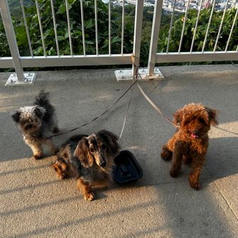 今日はちびっこはほぼ抱っこ
