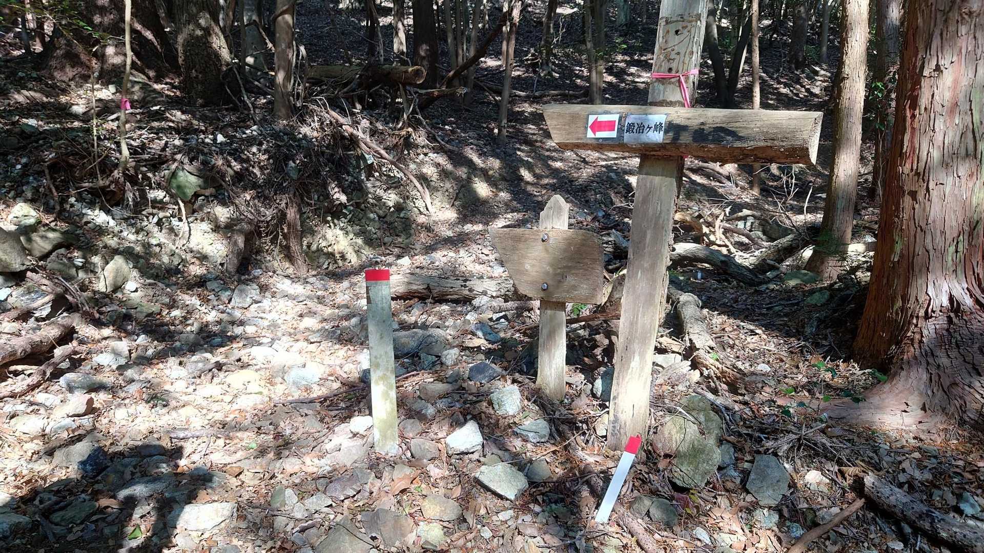 直ぐ登りが待っていた。又登る。