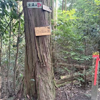 うさぎ道
宝満山まで80分🤨