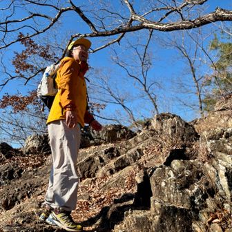 今まで草花に興味のなかった
TAKU-LOWちゃん。

まさかの　木に興味が🪾

なぜって、なぜって、なぜって、

ブームが「棍棒」だから🤭

棍棒に適してる木々かなとか
自然と目がいく様になったとか🤭🤭

人って変わるのね😆😆😆🤣🤣🤣


