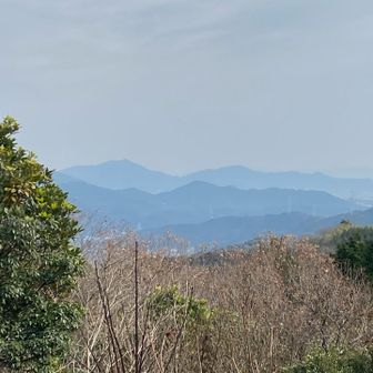 五井山見えます