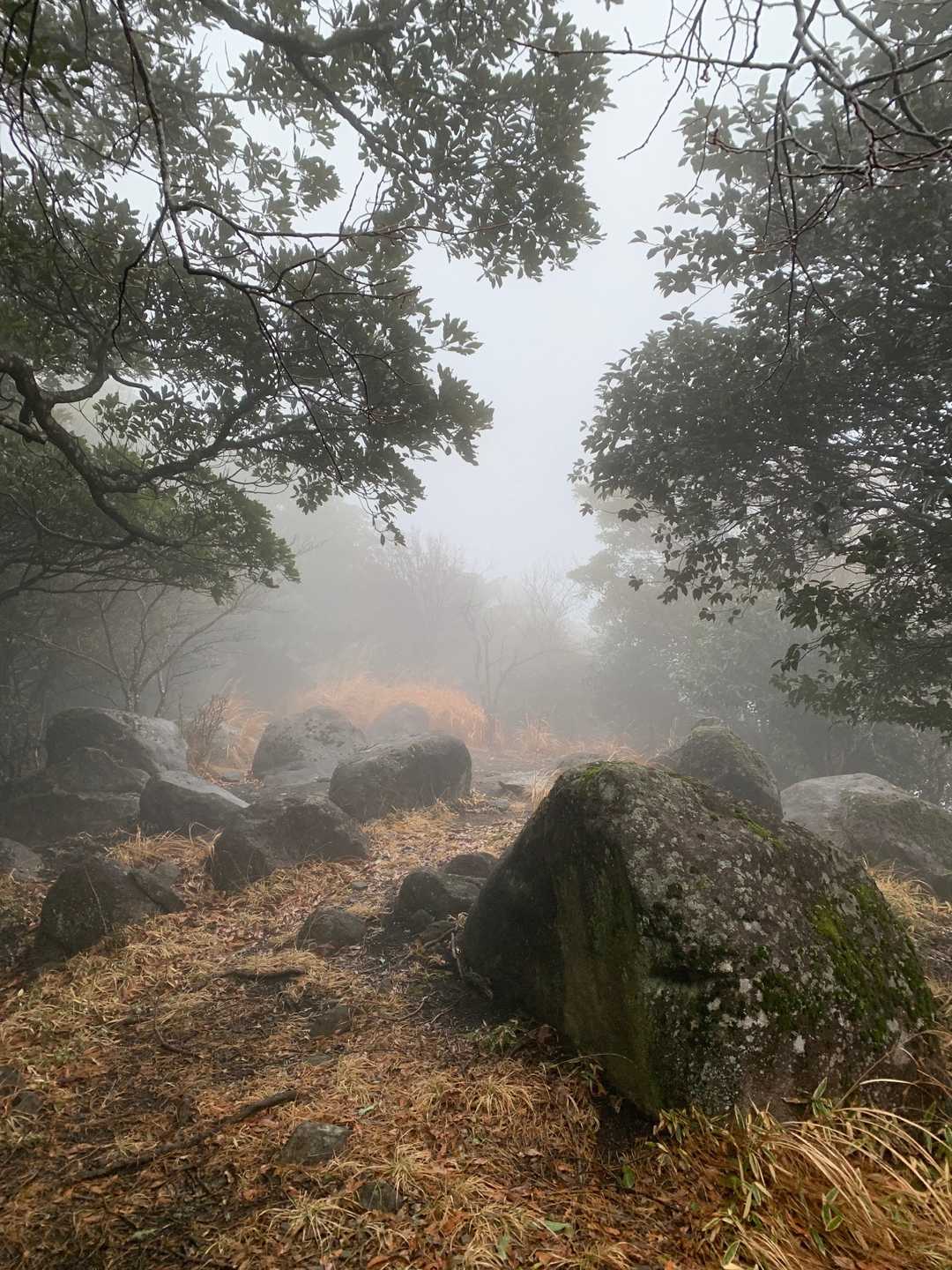 鷲巣岳の写真