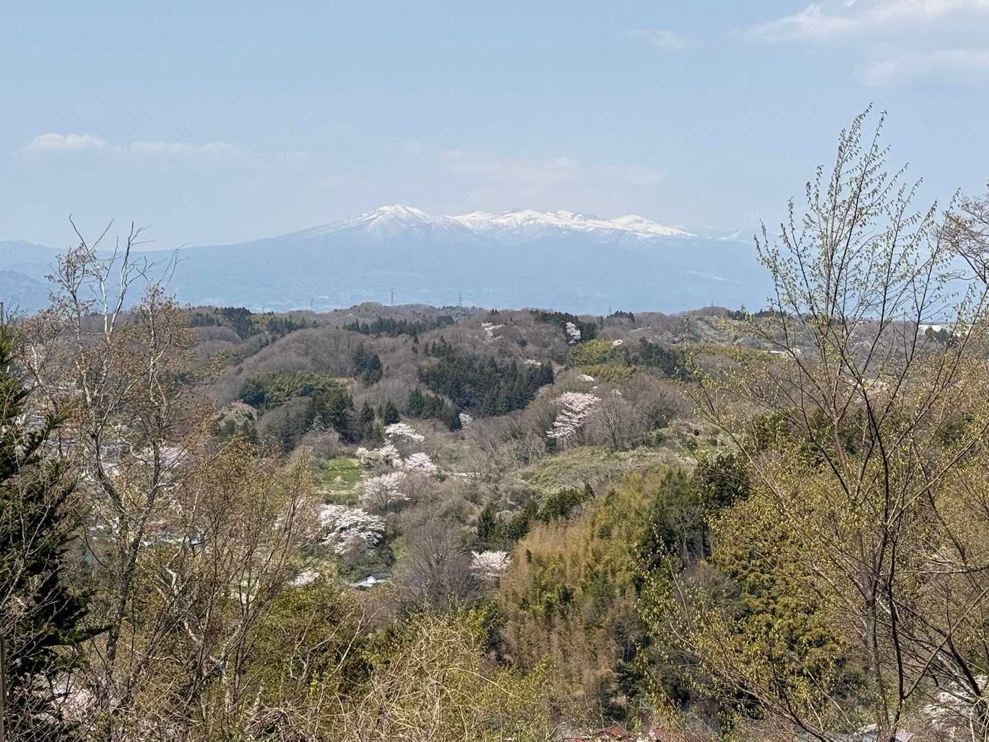 三春町役場バス停-南町バス停-大志多山 往復コースの写真