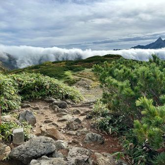 西鎌尾根全体で雲海をブロック