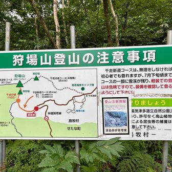 雪解けの遅い山なのですね