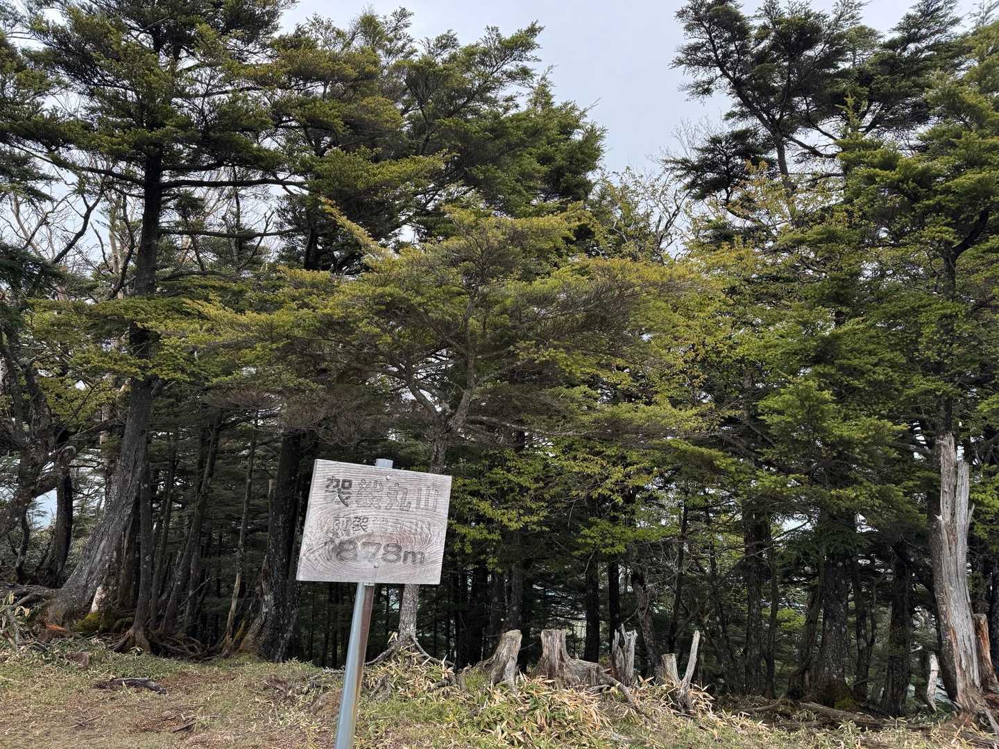 前袈裟丸山 往復コースの写真
