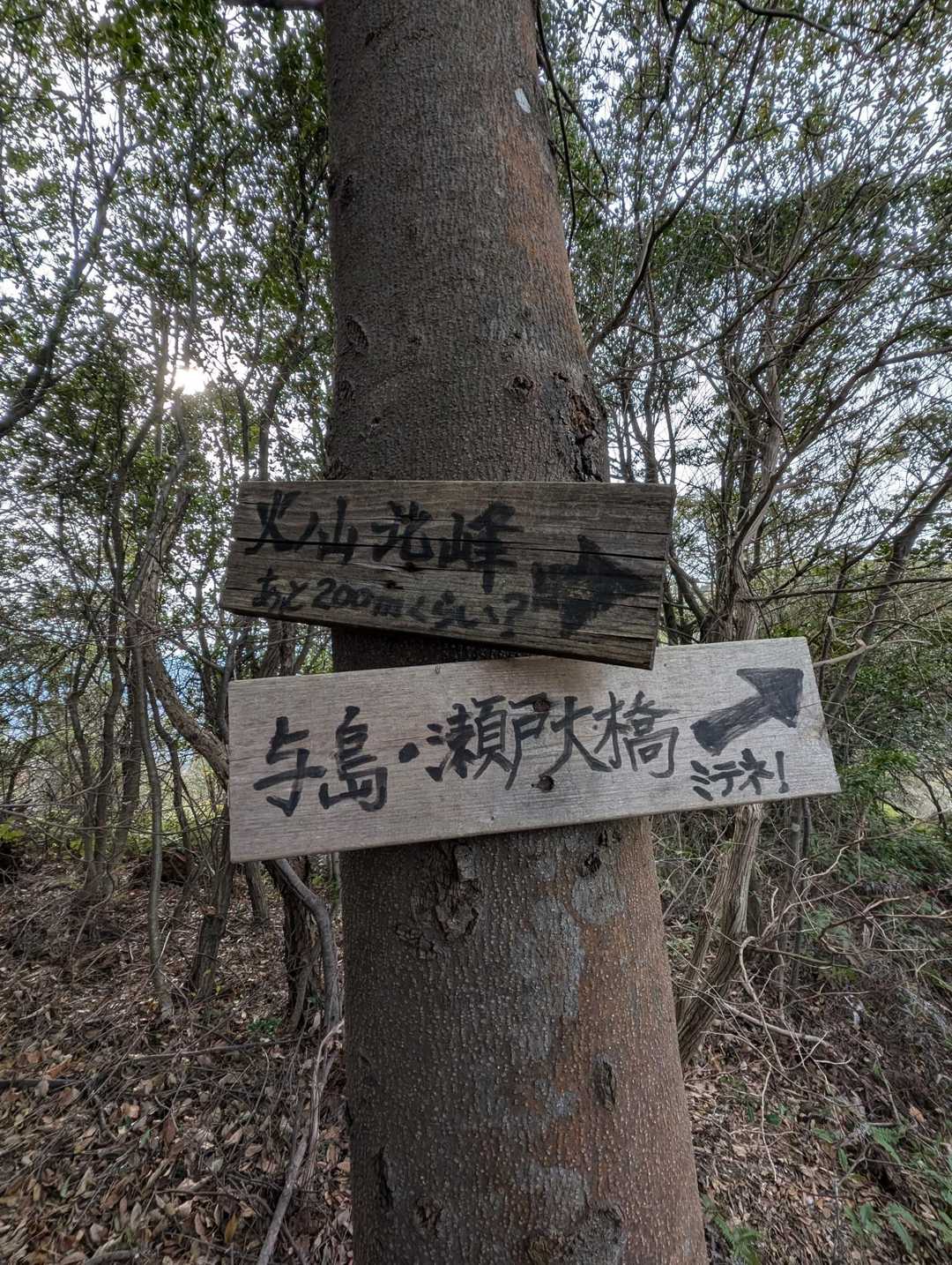 ミテネ！って書いてあるけど時間に余裕がないので行きません❌️