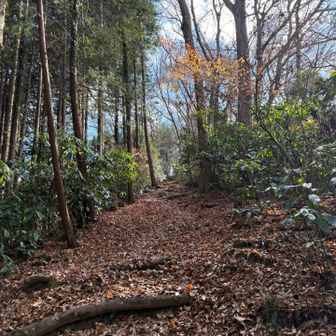 山頂までもうちょっと