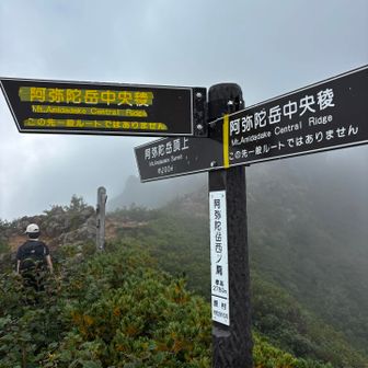 中央稜分岐　またガスガス