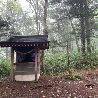 萱の宮だっけ🤔