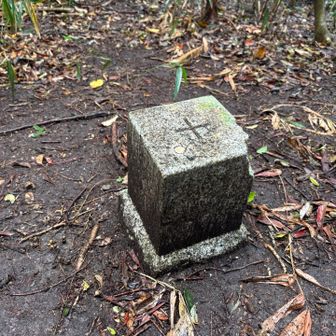 四極山山頂、眺望なし！