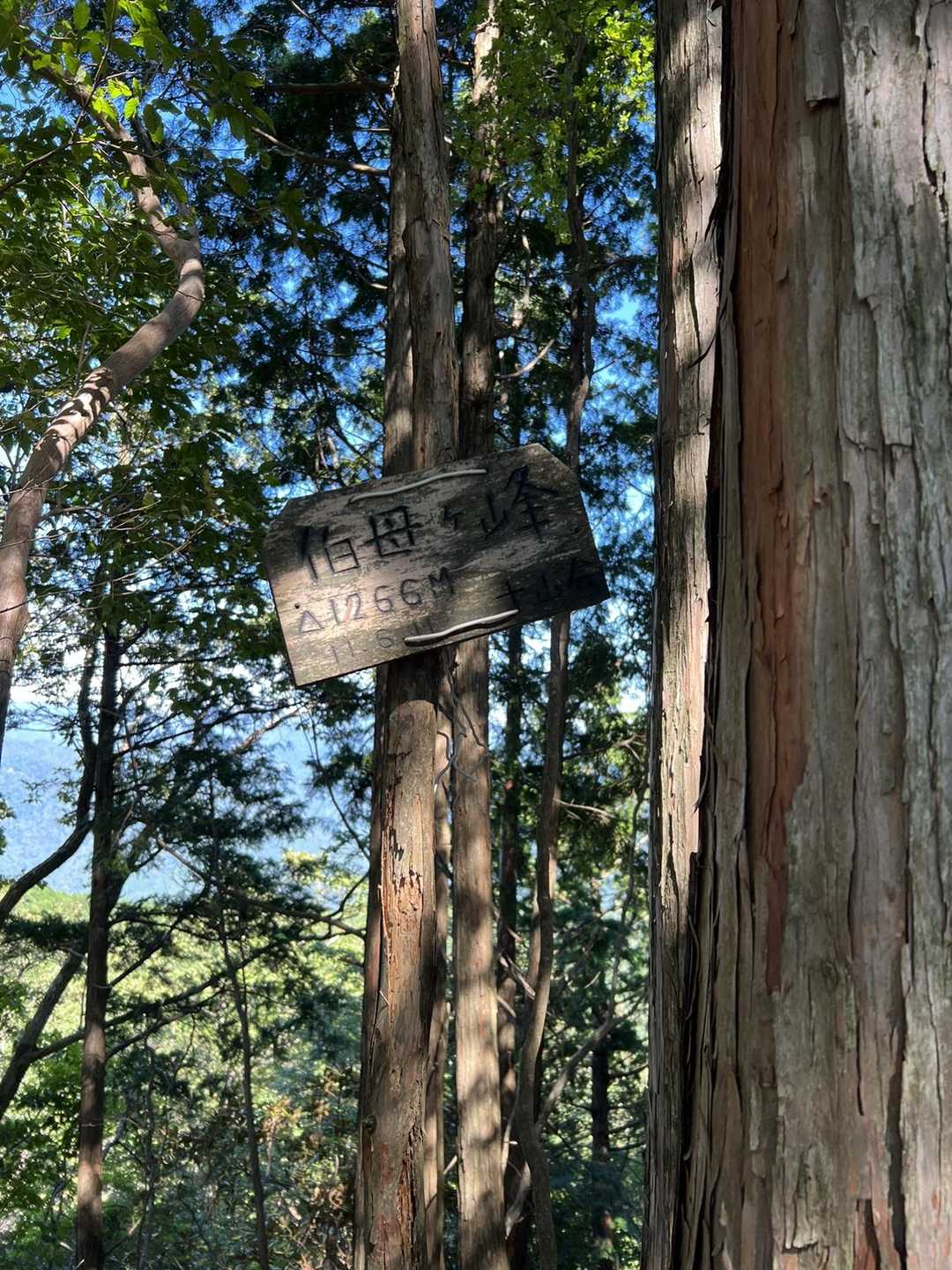 伯母ヶ峯山頂