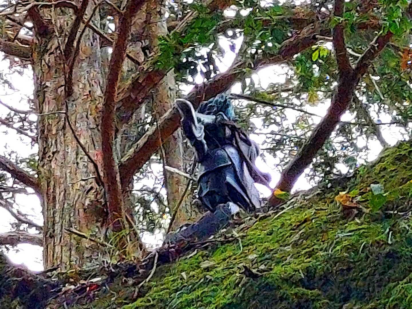 天狗岩の裏に回ると岩の上に？
天狗の像ですかね？👺
鎖場があり上に登れるようです。
行かなかったけど😒