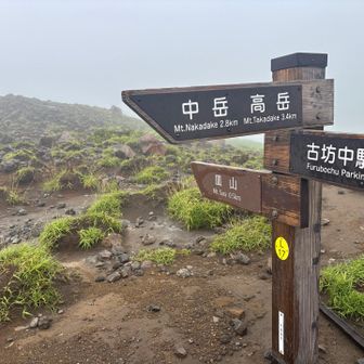 皿山、高岳方面との分岐
一旦皿山を目指します