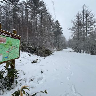 この辺りはスノーシューで歩いたら気持ち良さそうでした