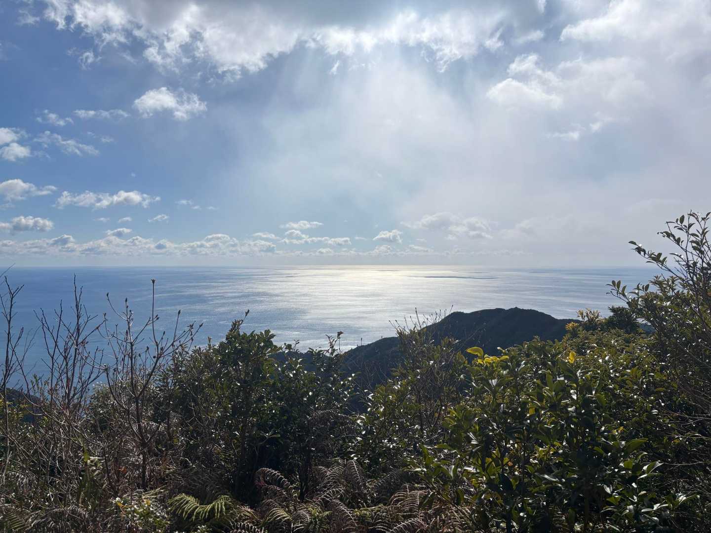 山頂からの景色。
ようやく写真を撮る余裕が🤭