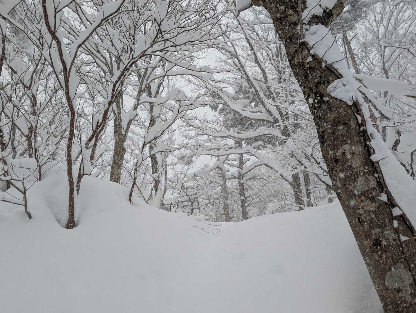 「キレイ！」「雪が深い！」思いは、人それぞれ・・