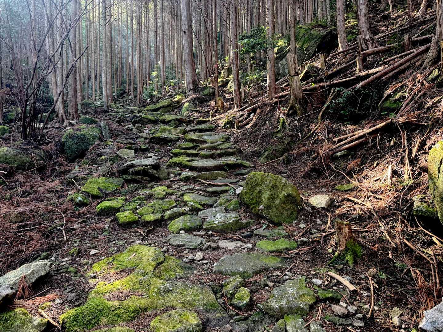 陽の差し方が良いねー