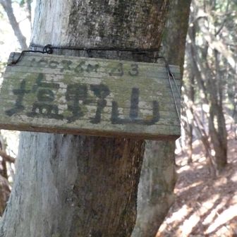 時折ルートは怪しくなりましたが、そんなに苦労することはなく塩野山・山頂に着きました。