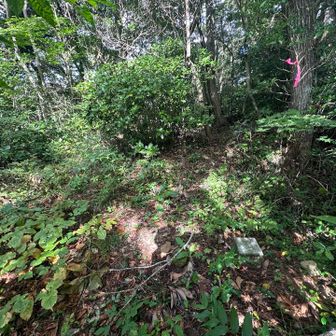 迷いながら正島山⛰️着きましたぁ⤴︎