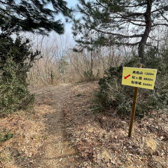 今日はピストンでなく周回してみる