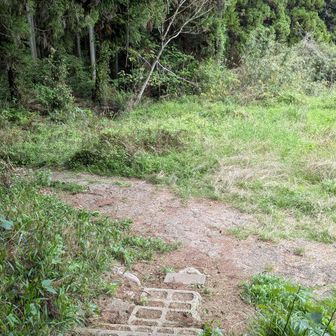 帰りに東峰寄るの忘れて
そのまま登山口まで下山😅
次は天拝まで歩こう。