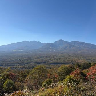 最高の景色✨