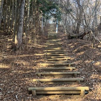 白石峠からの階段を含めた登りが何気にキツい
