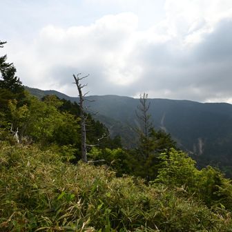 山頂方面は雲多め。