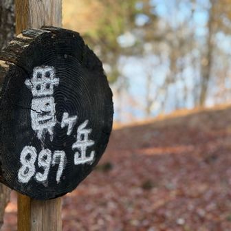 貫ヶ岳で👍🏻
広々した樹林帯の中😆