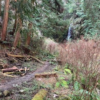 櫛羅の滝、近くまで行けません。