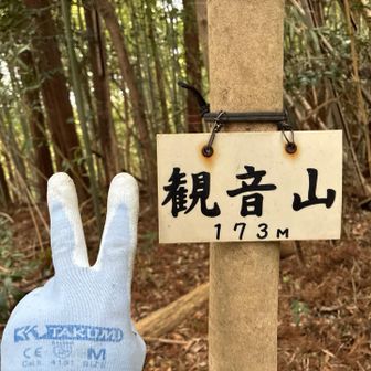 観音山ゲット　✌️

ちびピース🐼