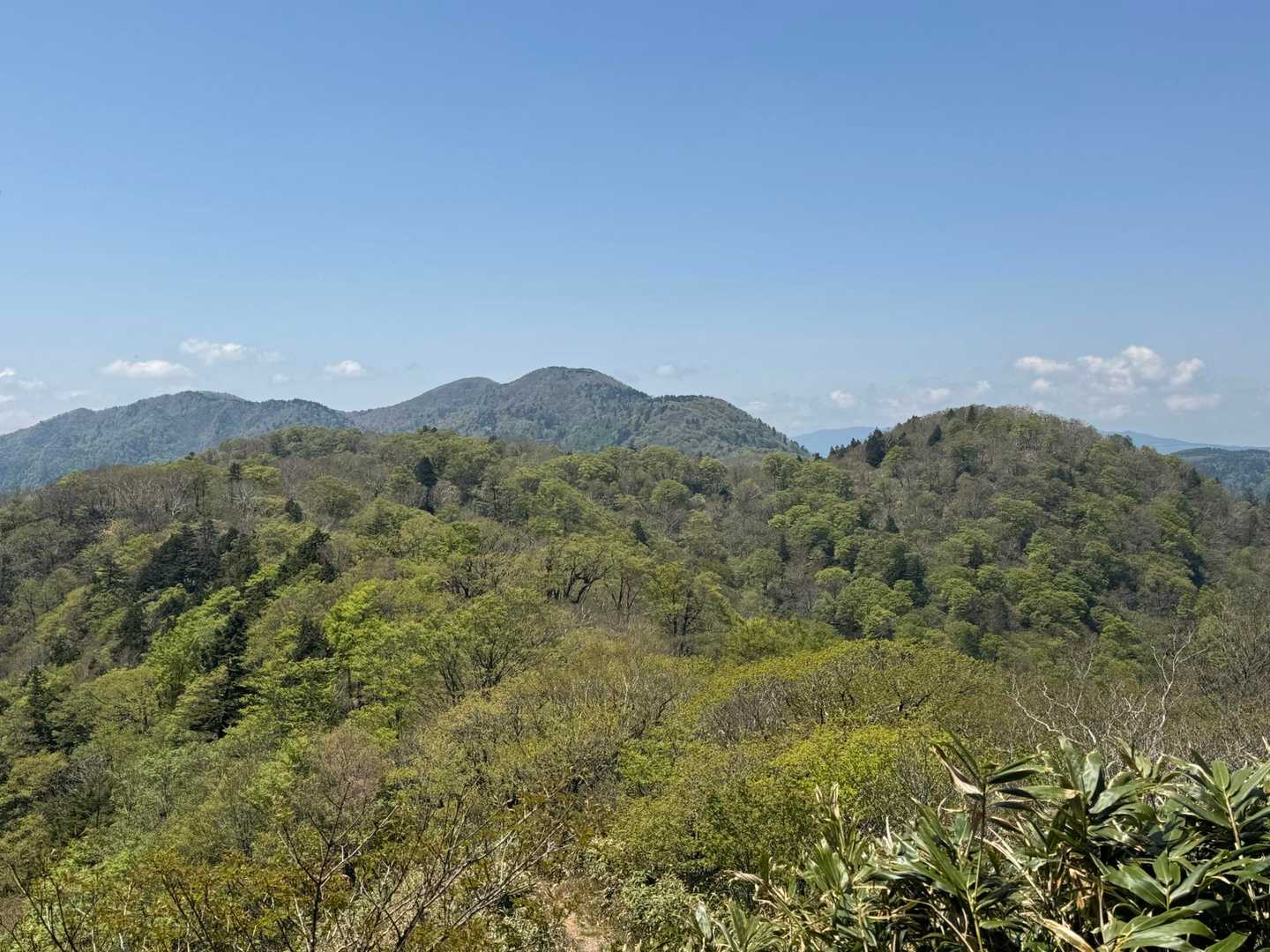川上岳までの縦走路