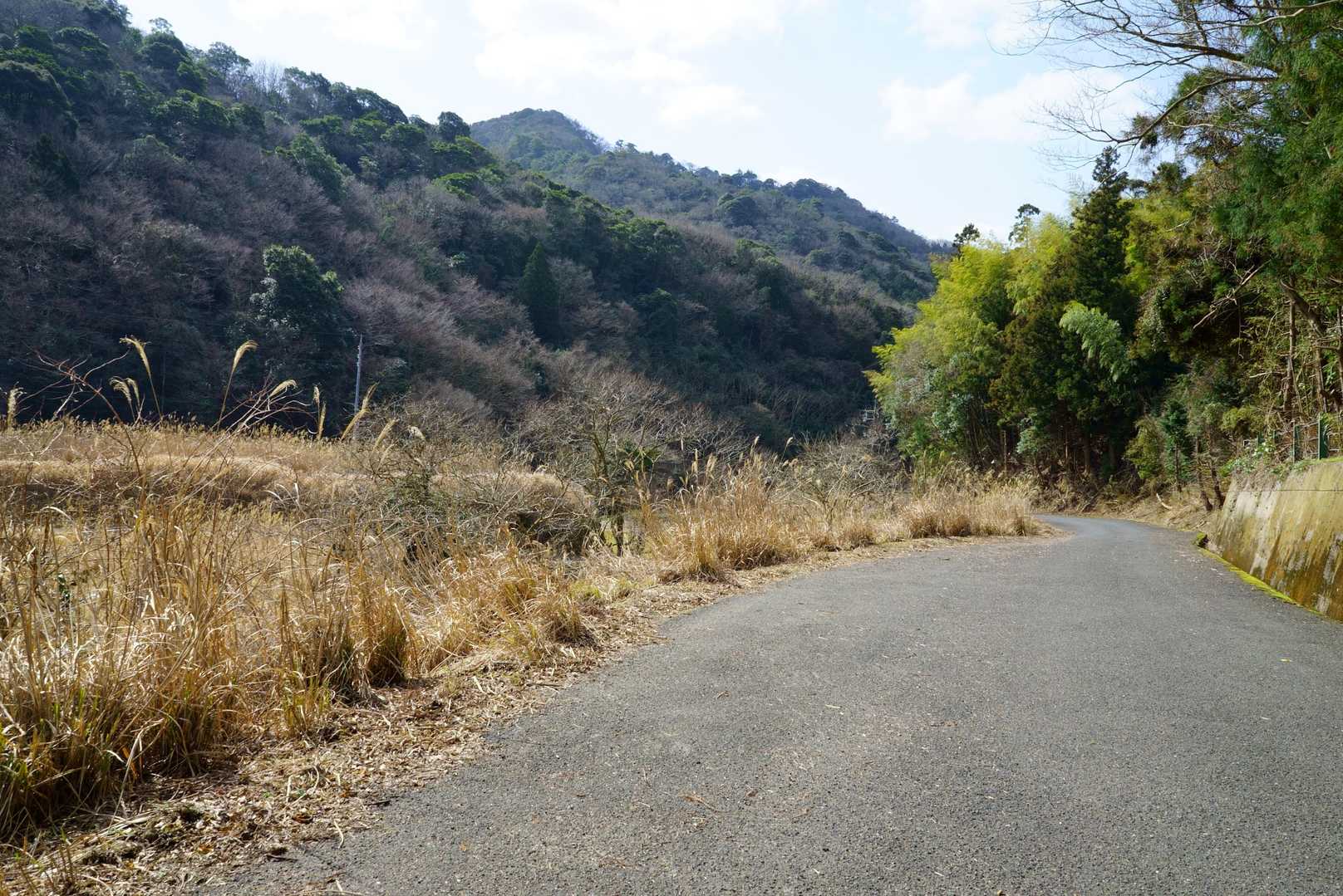 麦川方面からの道で、広くなっている路肩に駐車してスタート🎵