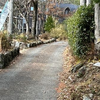 左右にアスレチックがある。