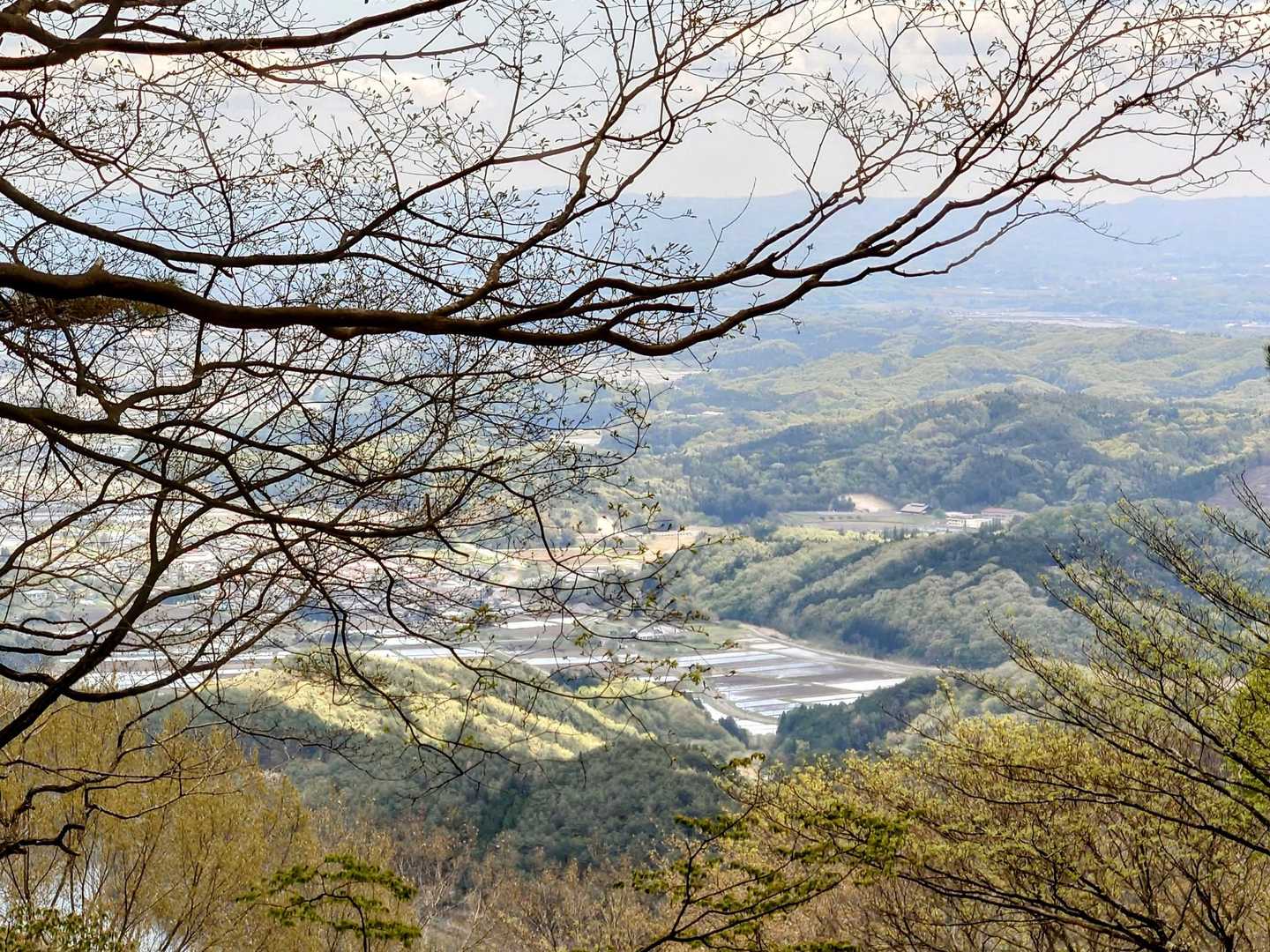 高土山登山道入口-高土山 周回コースの写真