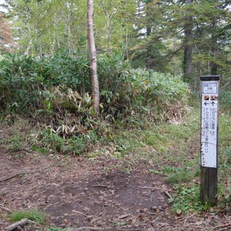 温泉コース分岐