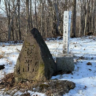 山頂！
雪少なっ！前日に安平町の積雪深を調べたら0cmだった！