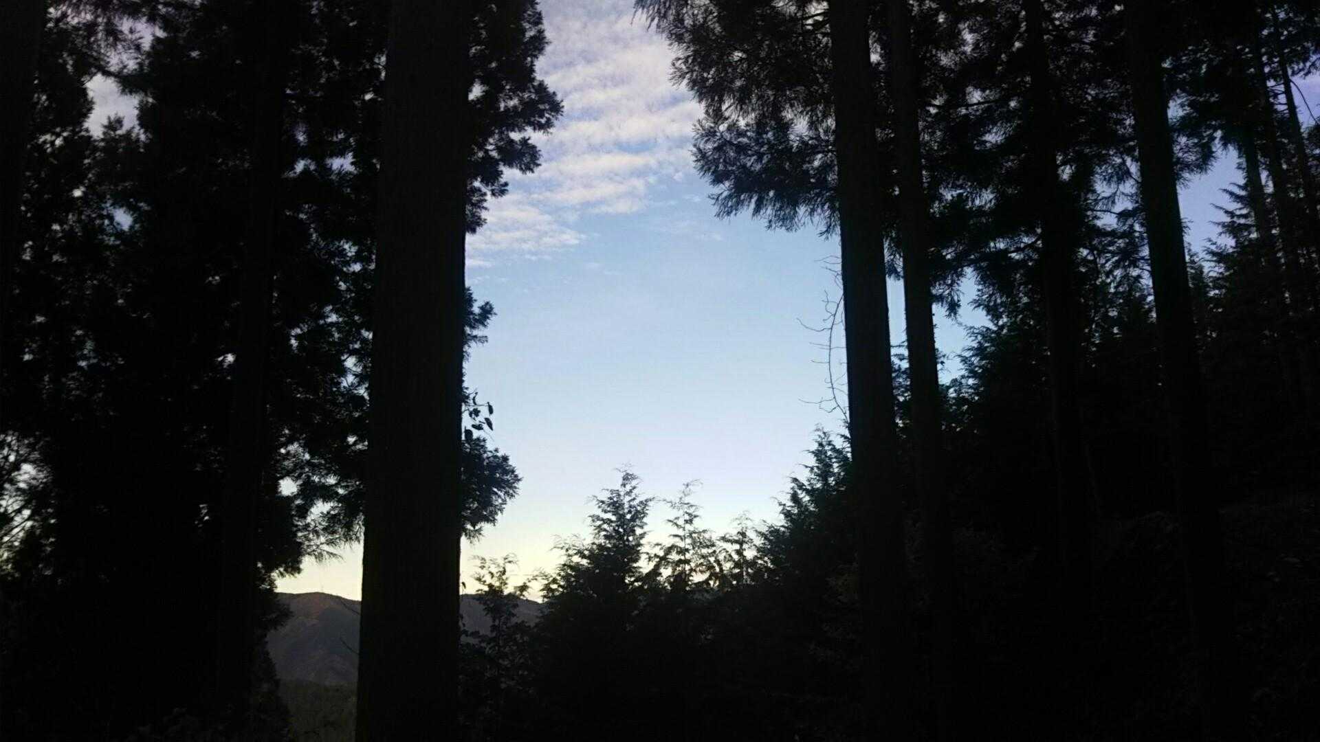 空が澄んでいます。